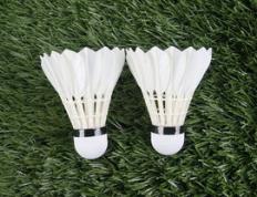 乐鱼官网-韩国羽毛球队绝地反击英格兰羽毛球队，马琳惊艳世界