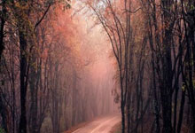 乐鱼体育-奥地利队绝杀中国队，樊振东统治全场